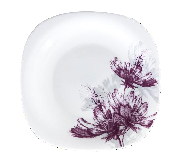 820 Violet Sanli